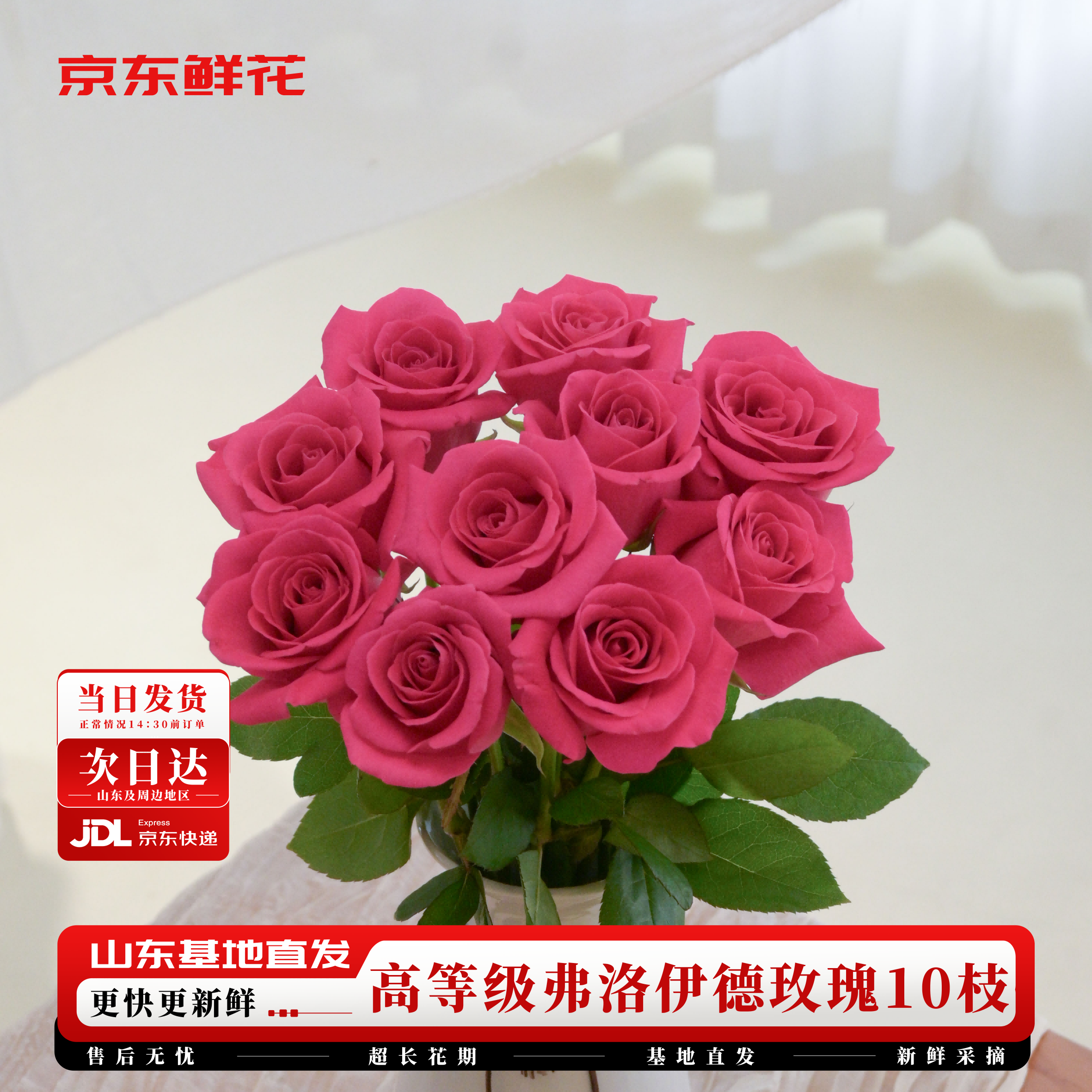 京东鲜花玫瑰花【弗洛伊德】10枝枝长50-55cm鲜切花礼品花束基地源头直发