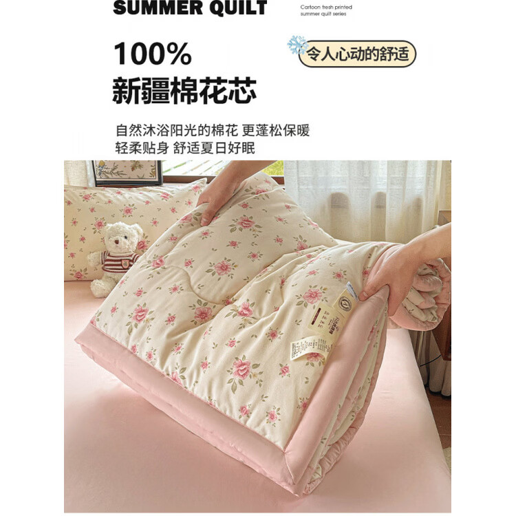 春夏款空调被夏凉棉全棉可机洗子2026芯学生宿舍春秋夏 好丽友【双层纱面料/棉花填充】 双人尺寸200x230cm春秋薄被