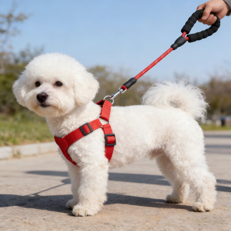 斯派科狗狗牵引绳套装遛狗栓狗绳子胸背项圈整套柯基大型犬金毛防爆冲绳 红色三件套|绳长2米+项圈+胸背 L-【18-35斤】