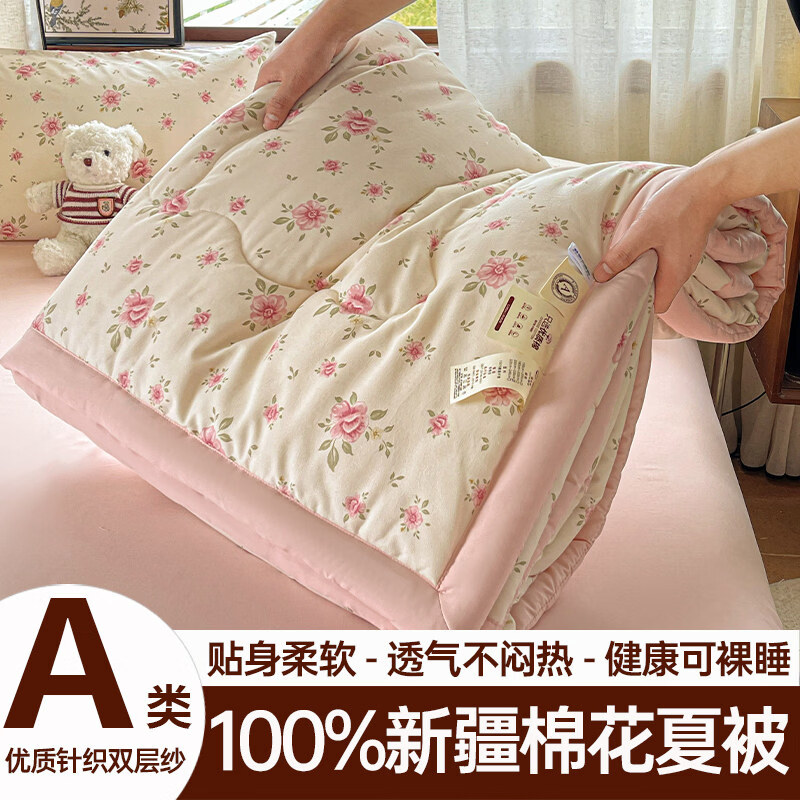 春夏款空调被夏凉棉全棉可机洗子2026芯学生宿舍春秋夏 好丽友【双层纱面料/棉花填充】 双人尺寸200x230cm春秋薄被 京东折扣/优惠券