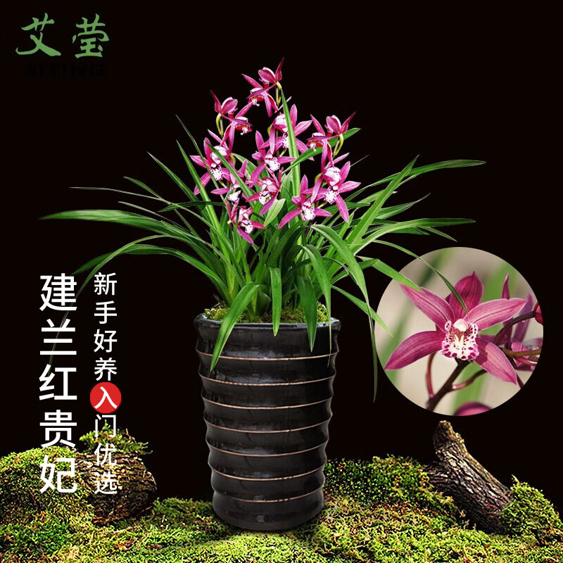 Ө ϾӨ ļ Ũ 12 14.9Ԫ