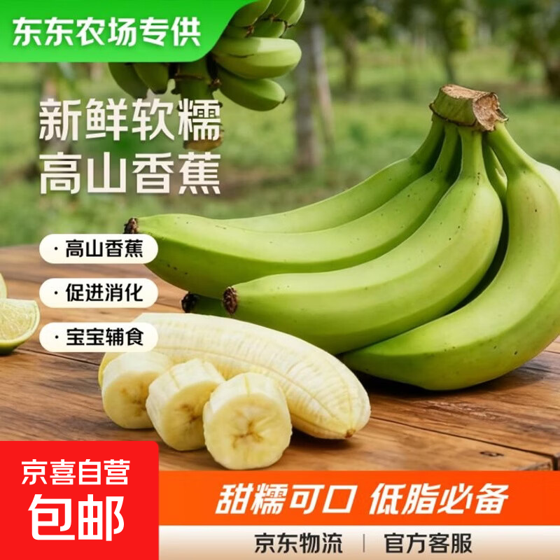 【东东农场专供】云南高山香蕉甜糯香蕉青皮蕉当季现摘芭蕉需催熟 黄色 净重9斤