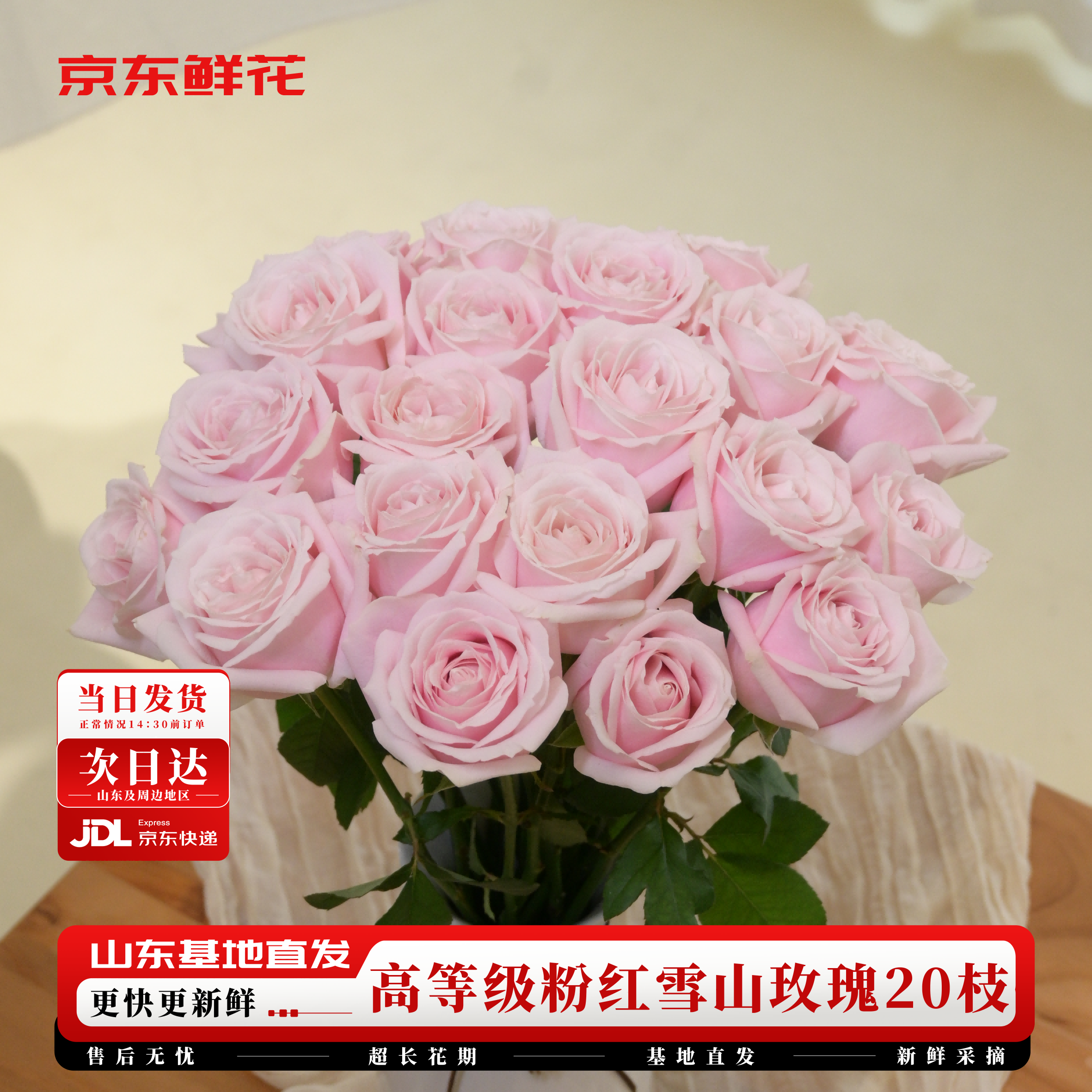 京东鲜花玫瑰花【粉红雪山】20枝50-55cm鲜切花基地直发礼品节日源头直发