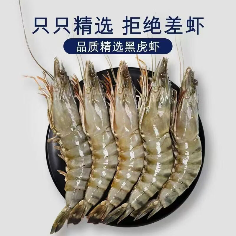 黑虎虾大号新鲜大虾鲜活虎虾海鲜水产斑节虾对虾老虎虾青虾九节虾 黑虎虾500G（8只） 0g(净重)