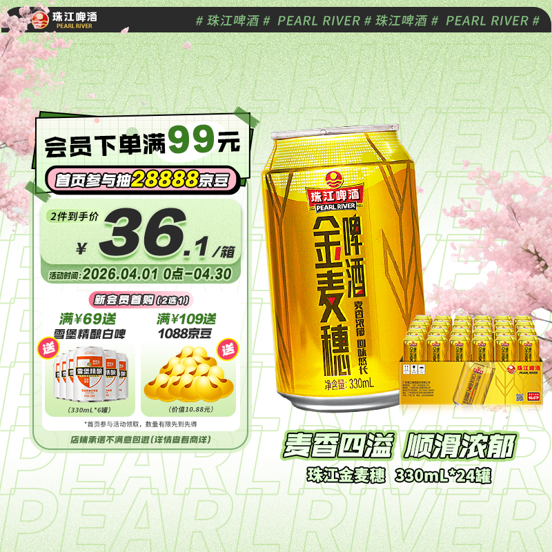珠江啤酒（PEARL RIVER）10度 珠江金麦穗啤酒 330ml*24听 整箱装 京东自营踏春送礼