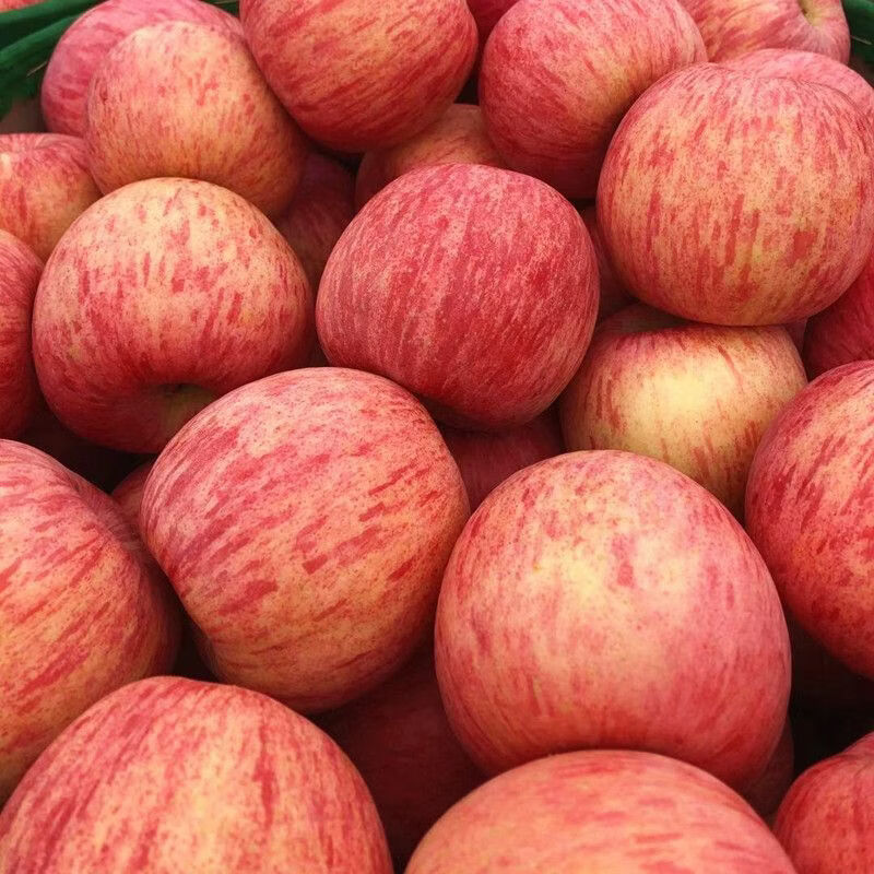 正宗山东烟台红富士苹果脆甜栖霞新鲜苹果水果生鲜批发一整箱 5斤大果7-9个（80-85mm）