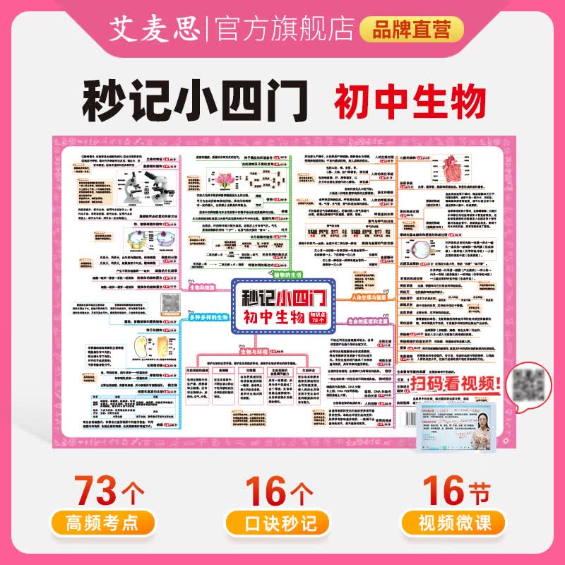 艾麦思秒记数理化2026新版初中秒记小四门历史生物地理道法思维导图归纳汇总全套口诀挂图人教版苏教版全国通用初中一二三年级辅导书789年级上下册辅导书 【4套全】秒记小四门 全国通用版