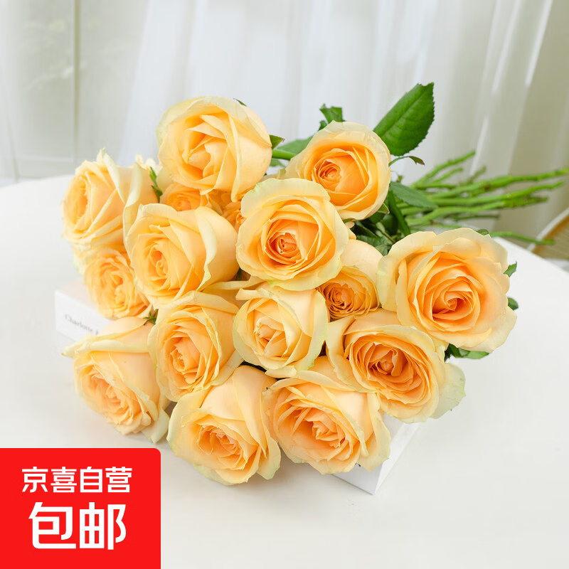 3-8妇女节随机色康乃馨10枝女神节鲜花生活鲜花昆明鲜花直发2 香槟玫瑰10枝40-45cm