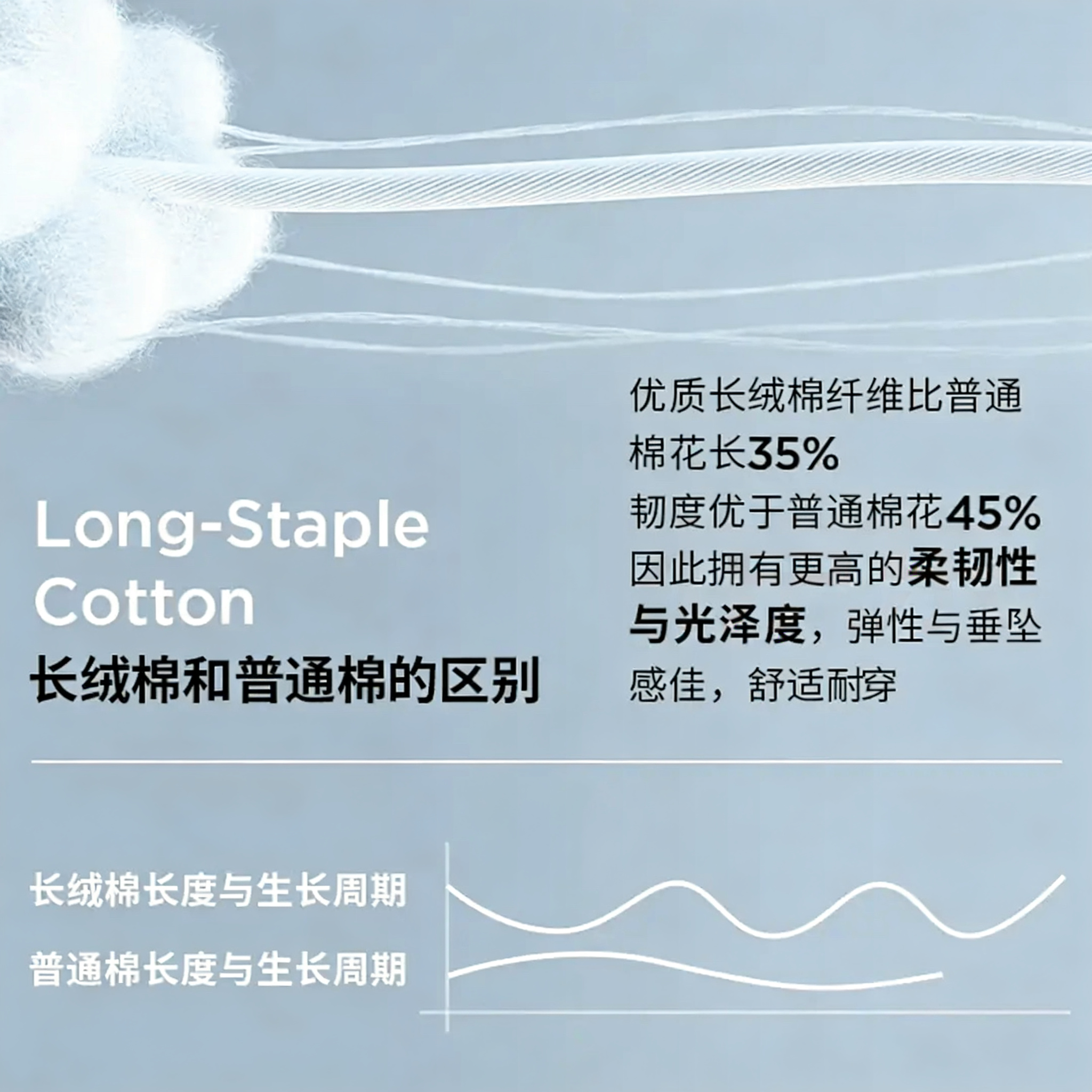 菊花牌中华老字号100%纯棉老头汗衫120支圆领舒适清凉吸汗居家内外穿搭 汗衫120支(1件装) 上海菊花牌 2XL 110/180 建议145-160斤