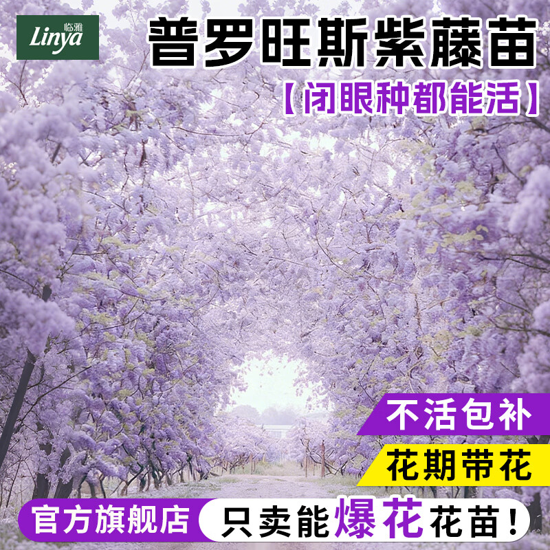 ���ڲ������������ٻ����ļ�����ֲ����糤�������ܻ���׮�����翪�����ļ����� ������˹���٣���1���ֳ�50-80����)1�� 58.8Ԫ