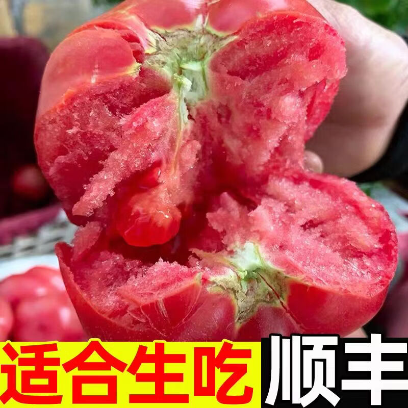 农大姐妹 【顺丰】西红柿 大番茄 新鲜水果沙瓤西红柿自然熟洋柿子西红柿 精选果5斤（沙瓤自然熟）
