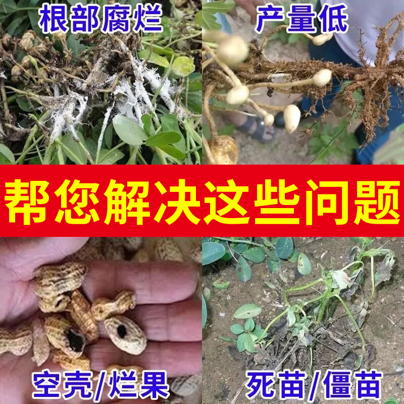 垄颖正品花生膨大粒粒饱花生专用膨大剂花生增产增收快速大果叶面肥 花生不空壳【1袋】贵在运费