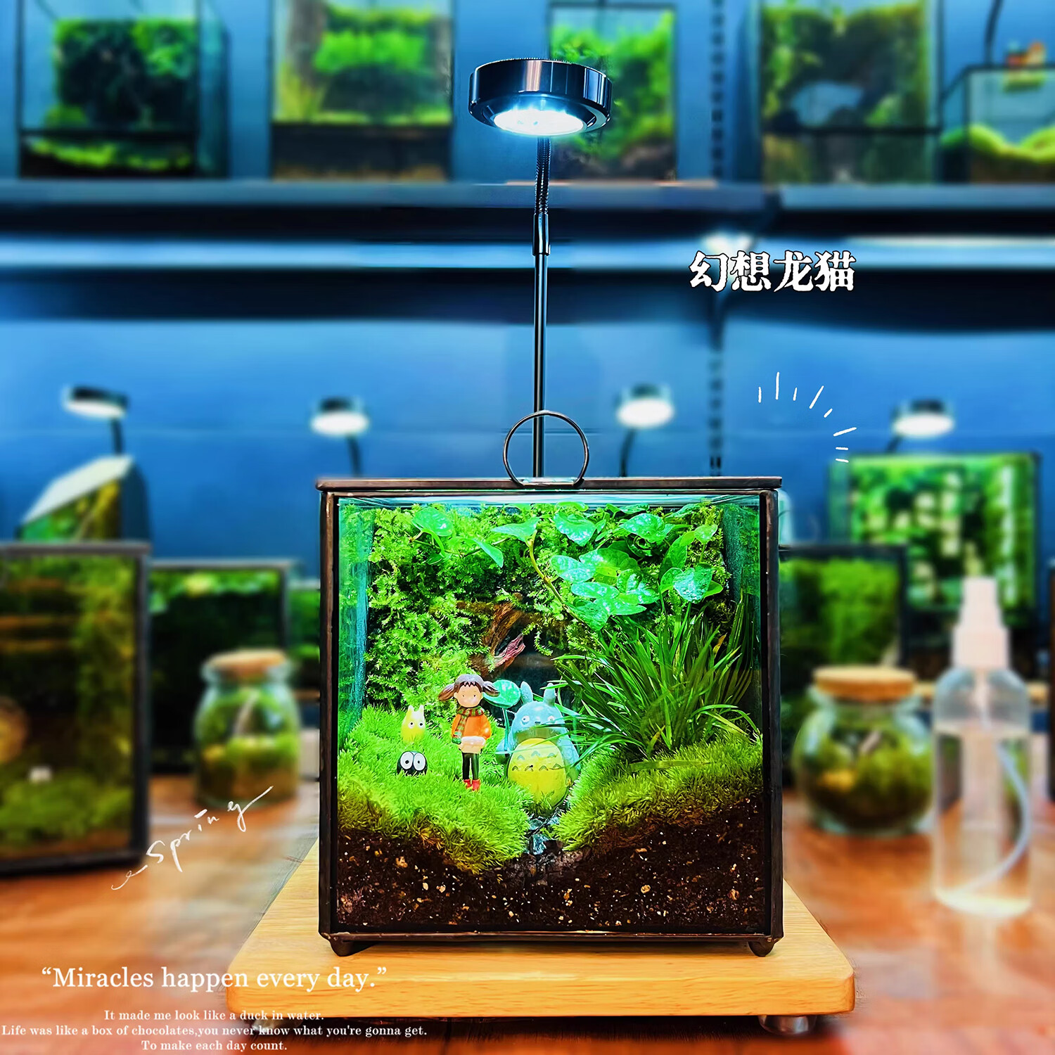封茗网红趣味桌面绿植摆件苔藓微景观生态缸懒人养护生态闷养盒创意 精灵旅馆】升级版+植物灯