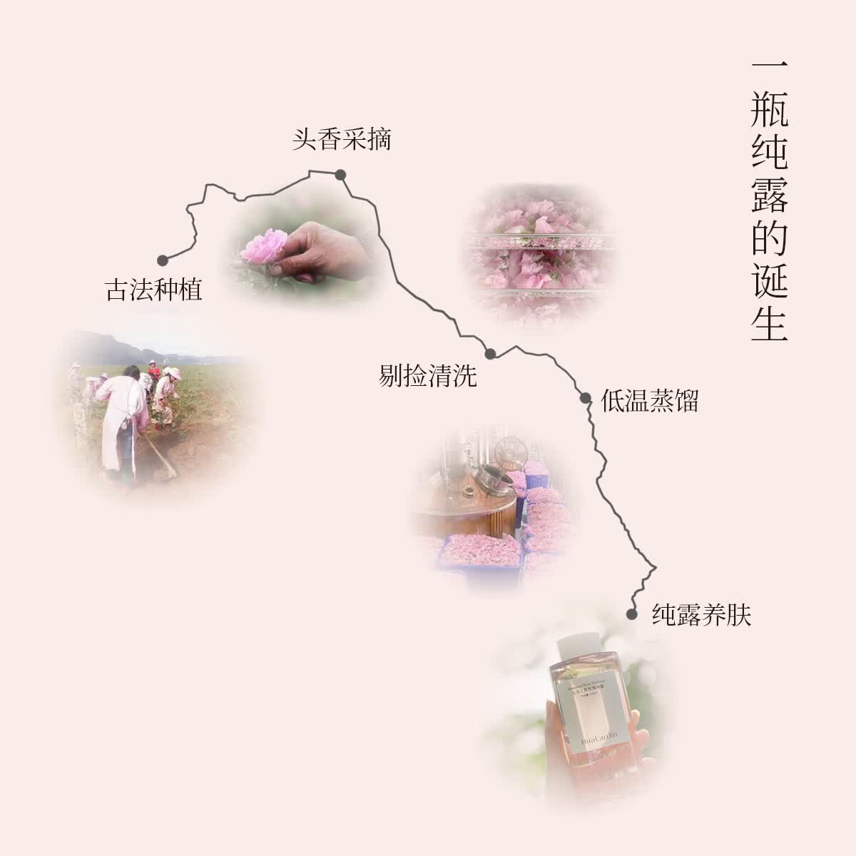 花兰槿大马士革玫瑰纯露爽肤水湿敷