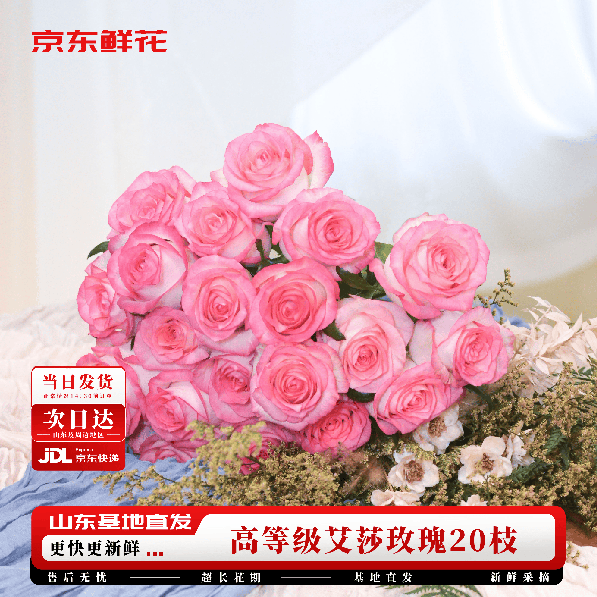 京东鲜花玫瑰花【艾莎】20枝无土栽培枝长50-55cm礼品花山东基地源头直发