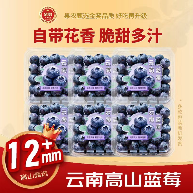 智宙云南花香蓝莓国产水果新中梅生鲜果送礼品物盒 金奖·精选【单果12mm+】 6盒【100-125g/盒】