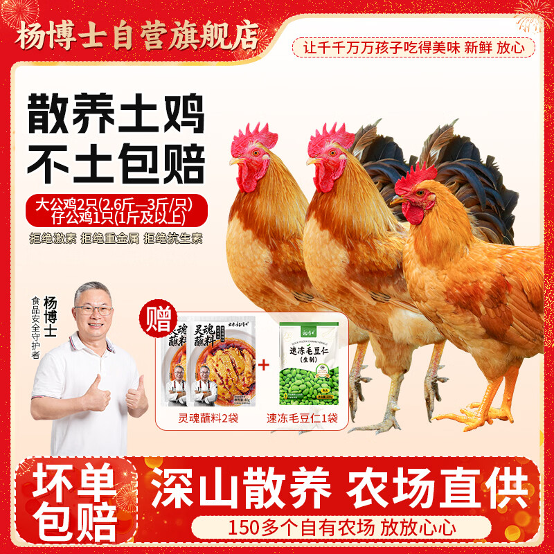 杨博士皖南散养大公鸡 单只净重2.6斤*2只 土鸡肉整鸡含鸡胗源头直发
