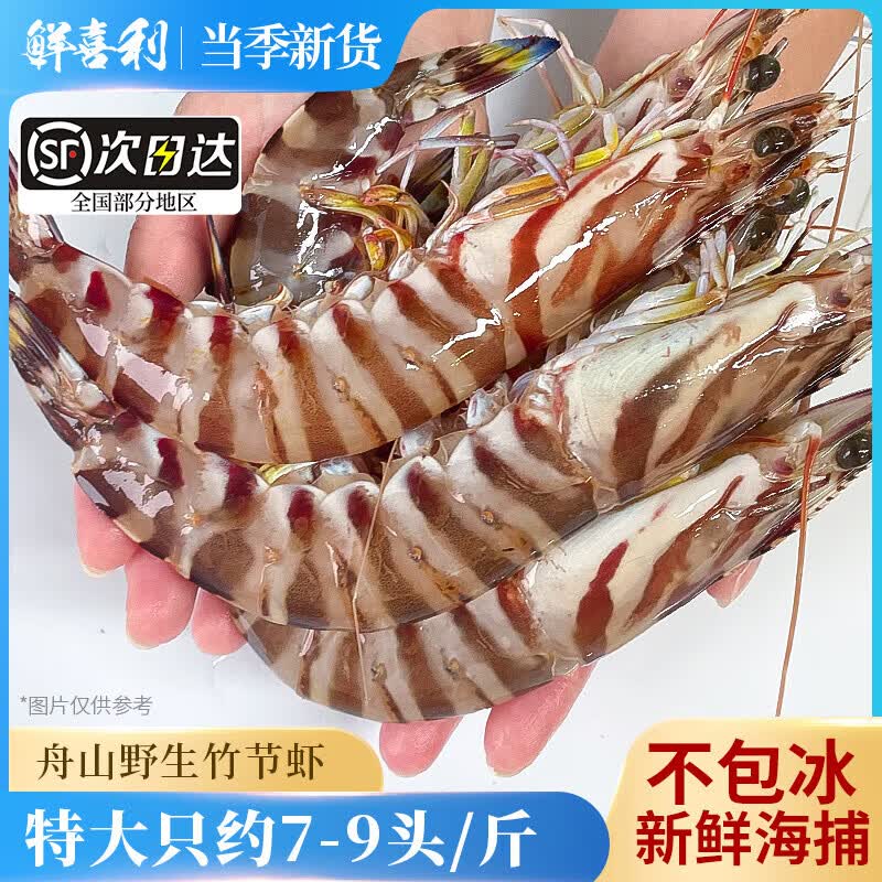 鲜喜利舟山九节虾野生船冻黑虎虾鲜活竹节虾超大海鲜水产速冻斑节虾海虾 1000g(净重)  10-12cm【23-28只/斤】