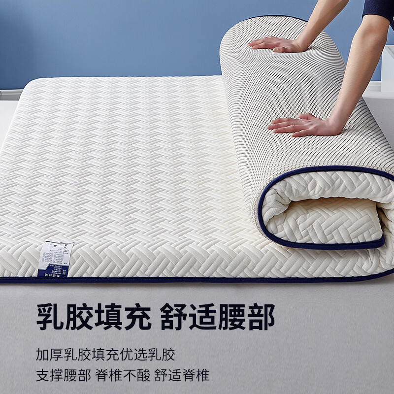 解决腰酸背痛家用乳胶加厚软垫卧室学生180x200厚单人床垫 棕格厚10CM 180X200CM