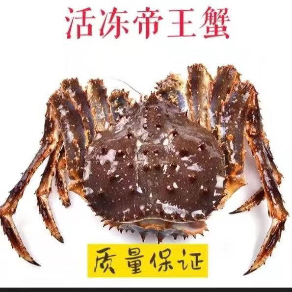 速冻蟹俄罗斯进口海鲜水产帝皇蟹超特大冰鲜长腿大螃蟹长脚蟹 非净重含冰衣20%