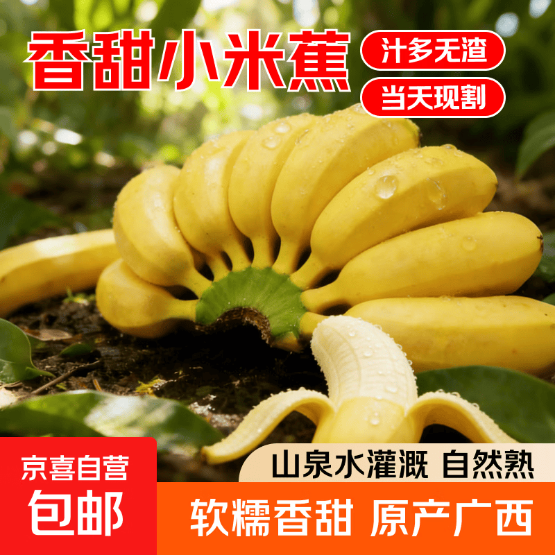 京喜加正宗苹果蕉广西香蕉自然熟新鲜水果奶蕉粉蕉小米芭蕉鹏贸 带箱2斤净重1.7-1.8斤