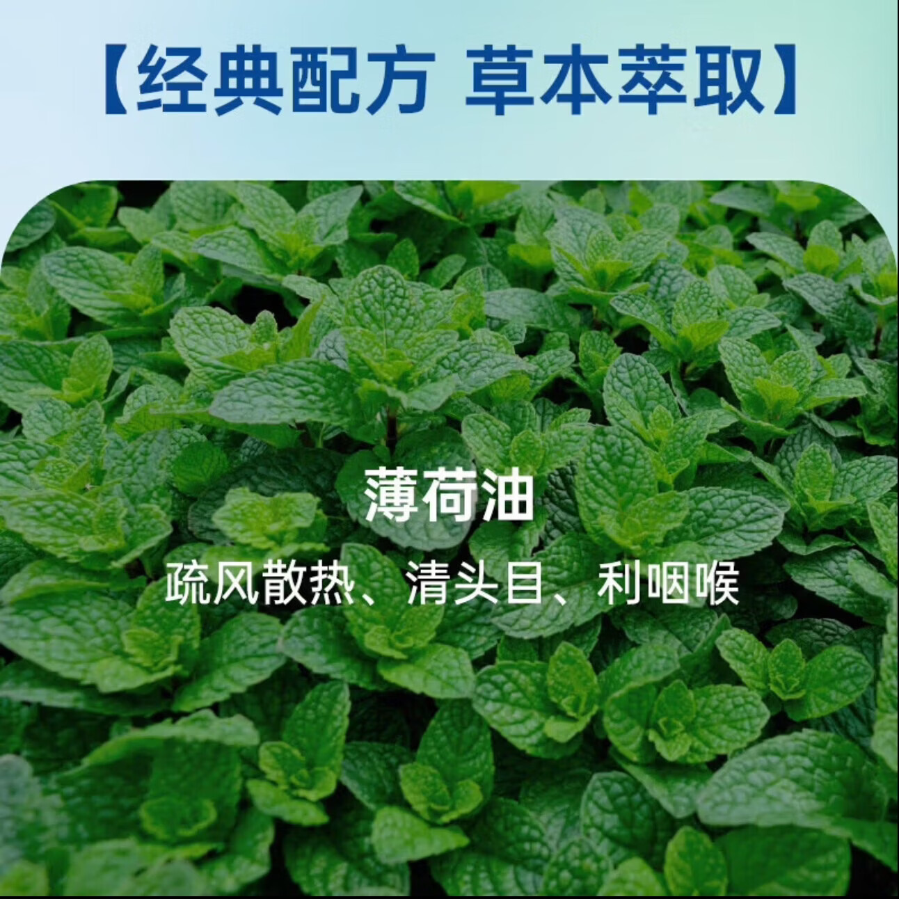 双飞人药水【限时特惠】香港原装法国正品正宗港版蚊虫叮咬提神消暑薄荷 港版原装双飞人50ml*1瓶