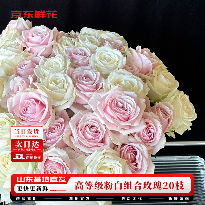 京东鲜花粉色玫瑰+白色玫瑰随机20枝50-55cm高品质礼品节日用花源头直发