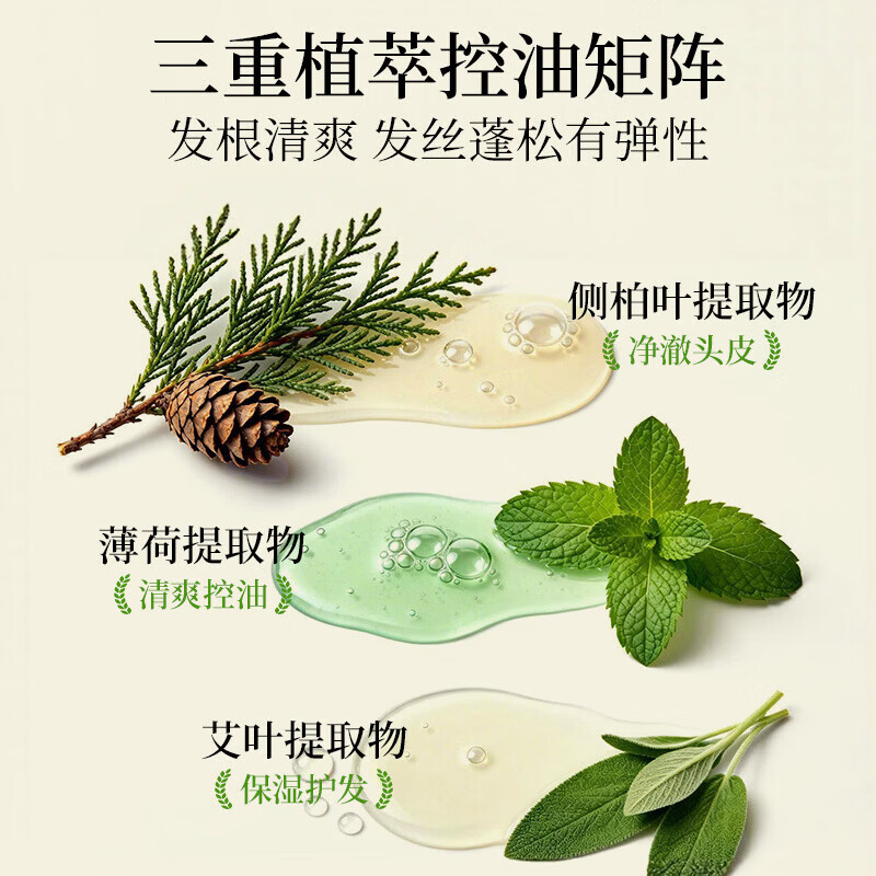 霸王侧柏叶控油蓬松洗发水 净澈头皮清爽丰盈秀发保湿护发 男女洗头膏 侧柏叶控油蓬松洗发水600ml+沐浴露680ml