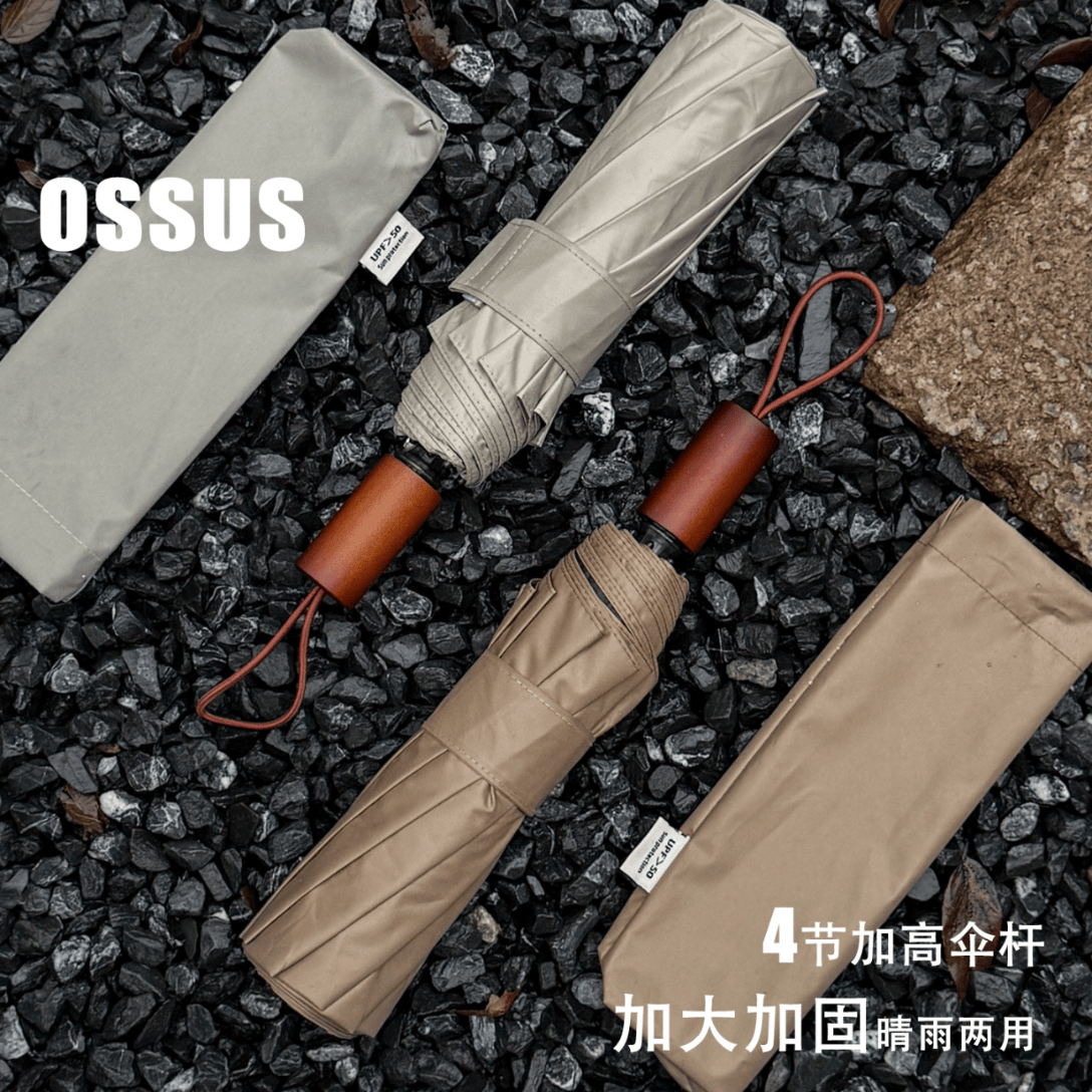 ֪ɡ 10�ǼӴ���������ɡ �ڽ���ɹ�������� �����ֶ� ��ɫ24.9Ԫ
