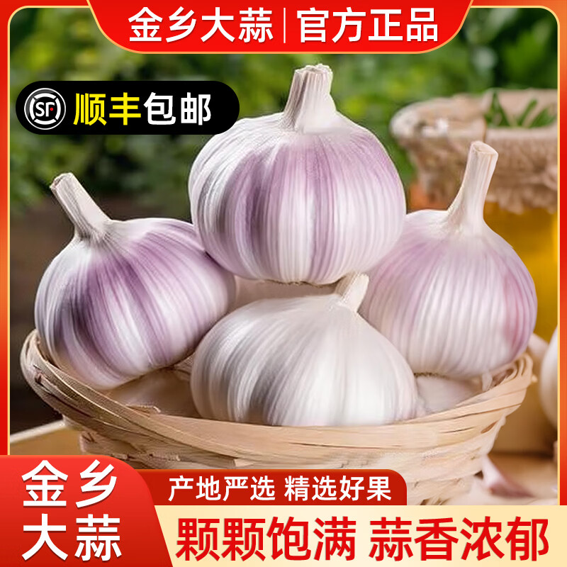 金乡大蒜【原产地直发】山东鲜蒜农家自种大蒜紫白皮蒜子2026干蒜坏果包赔 净重5斤 用心甄选（5-5.5cm）大果