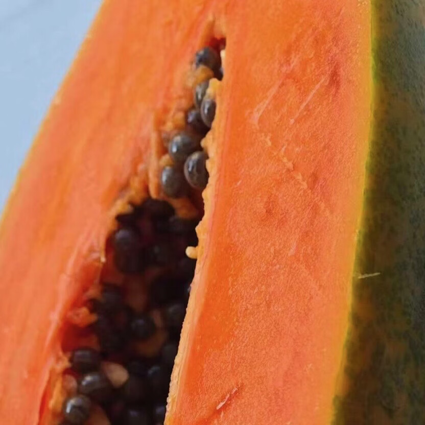 ［顺丰到家］海南三亚当季特级真树熟红心牛奶木瓜水果香甜软糯 净重4.8-5.2斤真树熟特级果（大果2-3个）孕妇可食