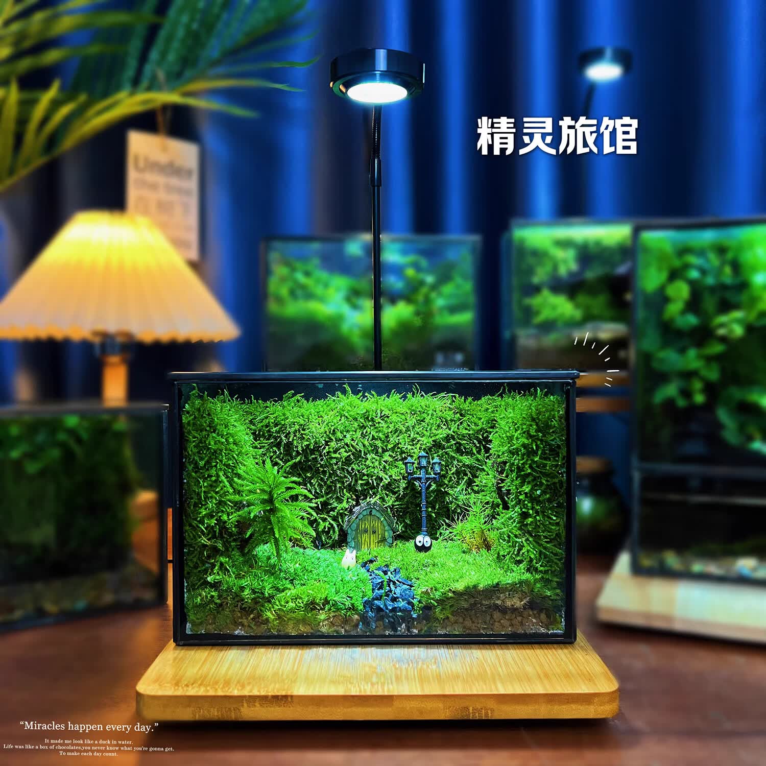 封茗网红趣味桌面绿植摆件苔藓微景观生态缸懒人养护生态闷养盒创意 精灵旅馆】升级版+植物灯