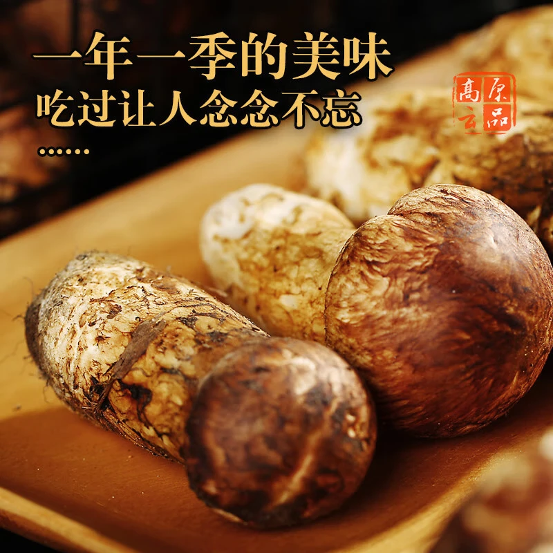 高原云品【冻鲜松茸】香格里拉出口级不开伞松茸新鲜速冻 航空冷链 6-8CM 250克