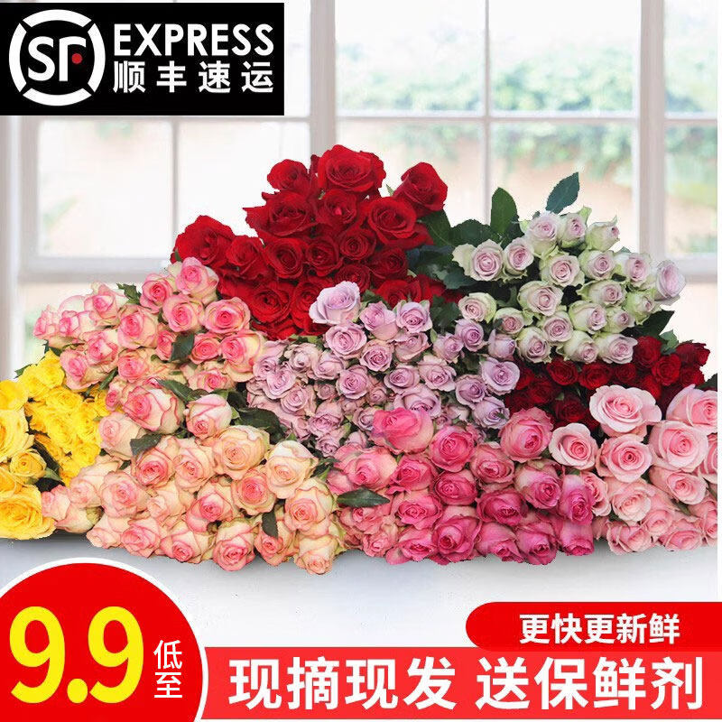 玫瑰花鲜花云南昆明基地直发新鲜批发百合鲜切花束顺丰包邮 随机单色玫瑰10只