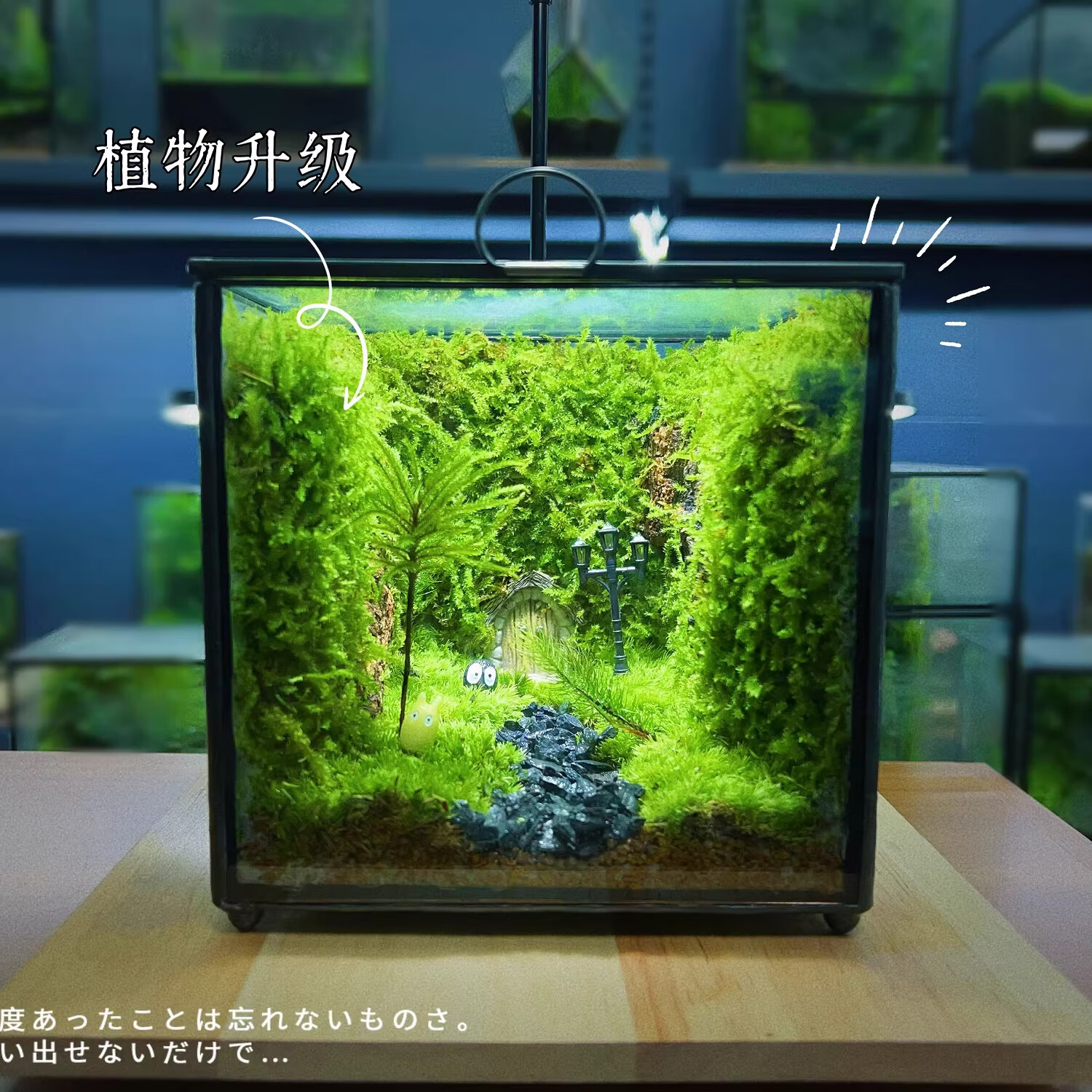 封茗网红趣味桌面绿植摆件苔藓微景观生态缸懒人养护生态闷养盒创意 精灵旅馆】升级版+植物灯