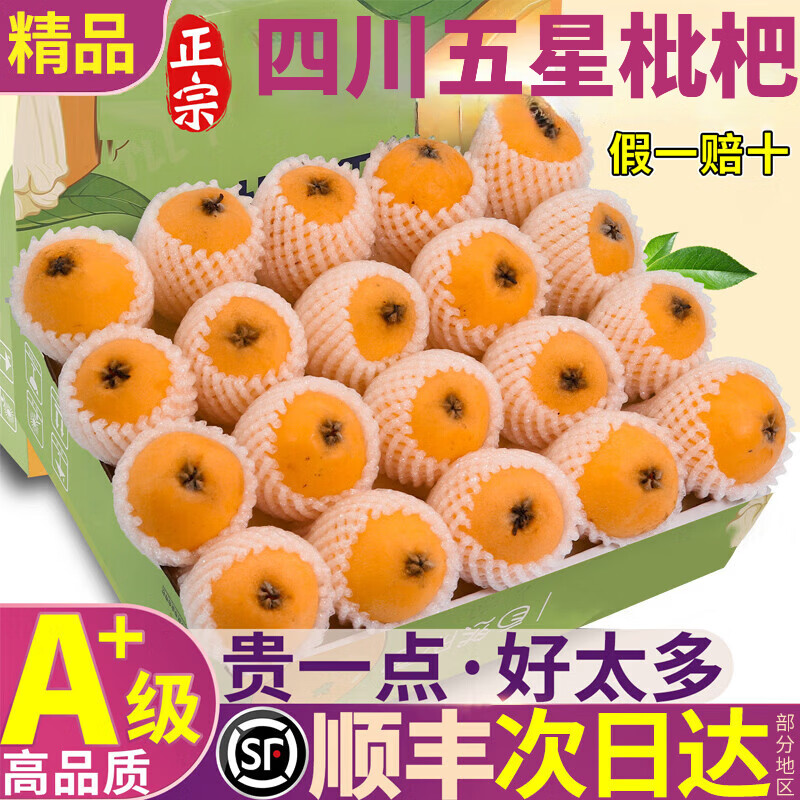 四川米易五星大枇杷水果礼盒高山现摘现发当季新鲜纯甜琵琶特大果 1.4斤礼箱装【90%品尝后选择5斤装】净重1斤  A+级商超果【单果20-30g】【JD顺丰多地次日达】