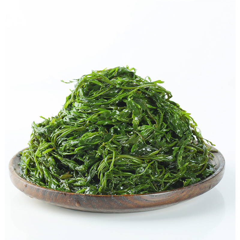 虎钢馋马尾藻长寿菜新鲜海草鞭炮笋海带丝嫩苗海藻菜羊栖菜火锅凉拌菜