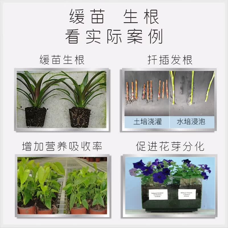 摩登农夫黑晶复元素生根促长浓缩营养液绿植花卉通用 50ml