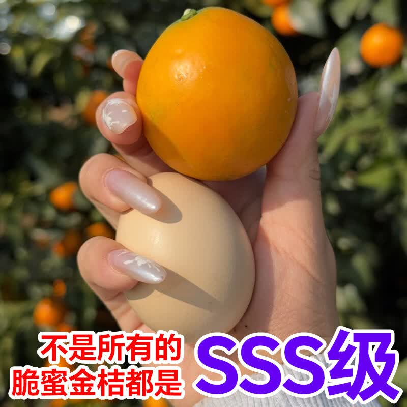 融安金桔正宗广西融安脆蜜金桔第三代金柑独立包装甜礼盒装自家果 5斤 脆蜜金柑【甄选特果 脆甜化渣】 14-16颗/斤，