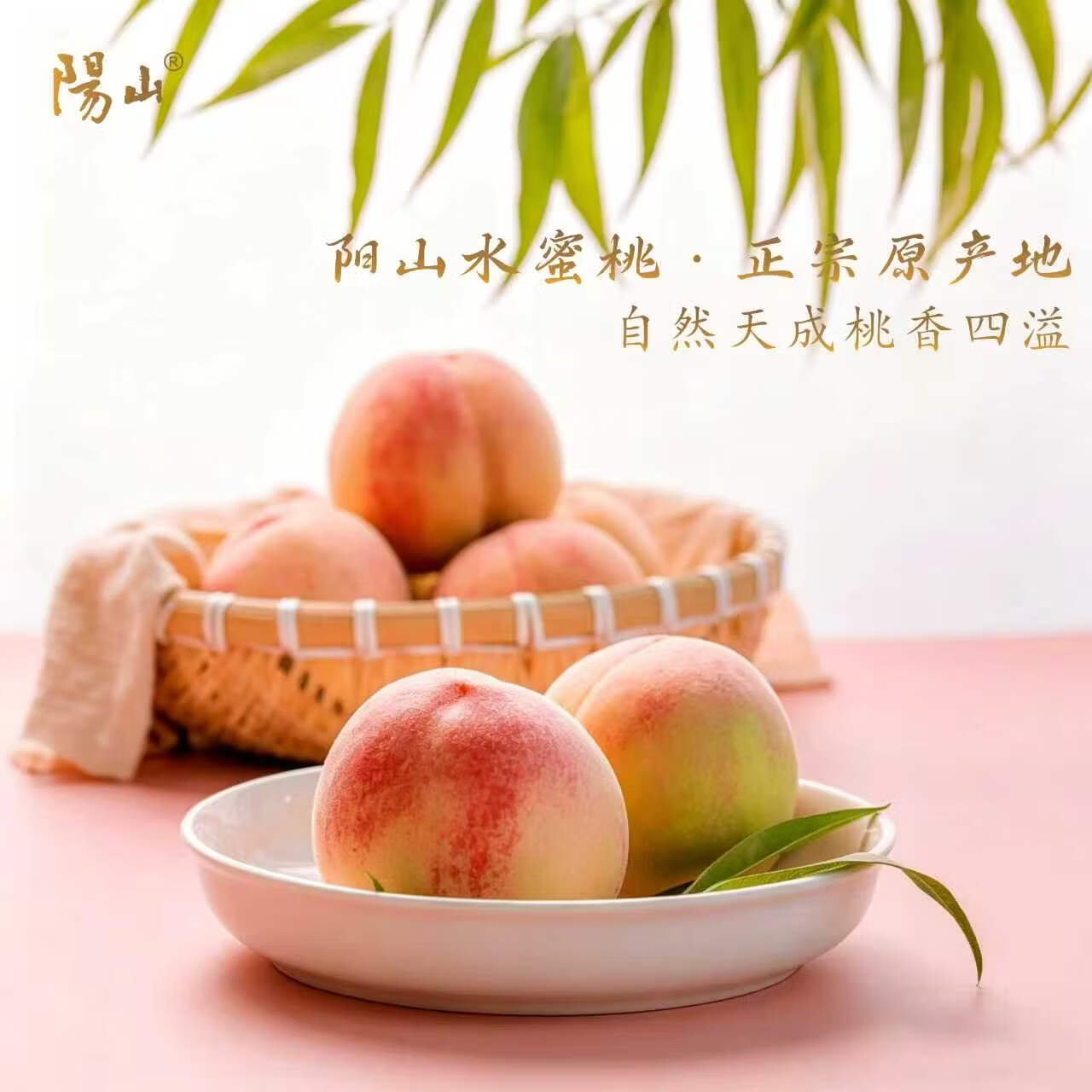 阳山水蜜桃 正宗无锡阳山水蜜桃 新鲜现摘时令水果 高端礼盒装 一级果4-5两8枚礼盒装净重3.2斤多