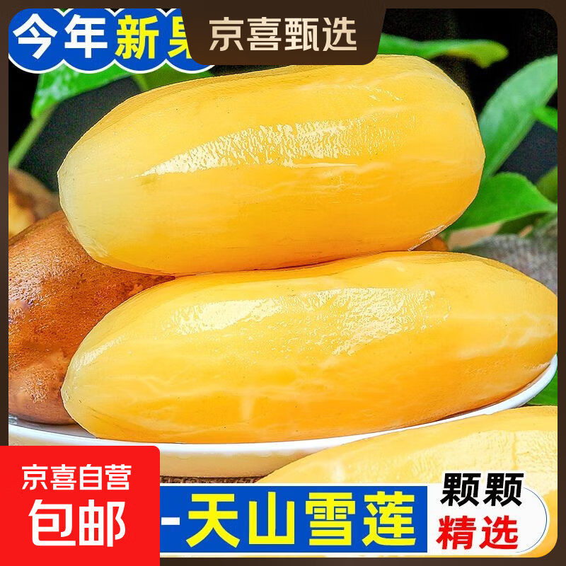 正宗云南天山雪莲果现挖现发高原脆甜雪中仙果当季新鲜水果 净重8斤 单果150g
