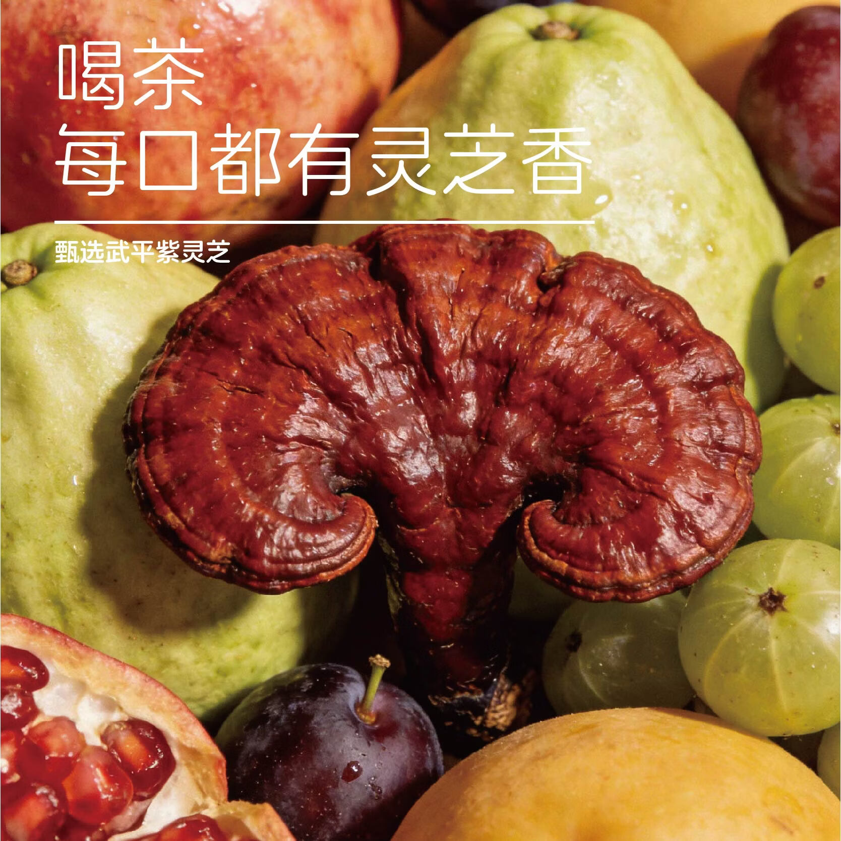 仲景小束腰粉芭乐青提果汁紫灵芝茶植物饮料500ml便携装 粉芭乐青提 5瓶