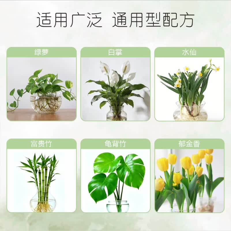 摩登农夫合先青苔净化液水培护根净水防蚊防菌病毒 100ml