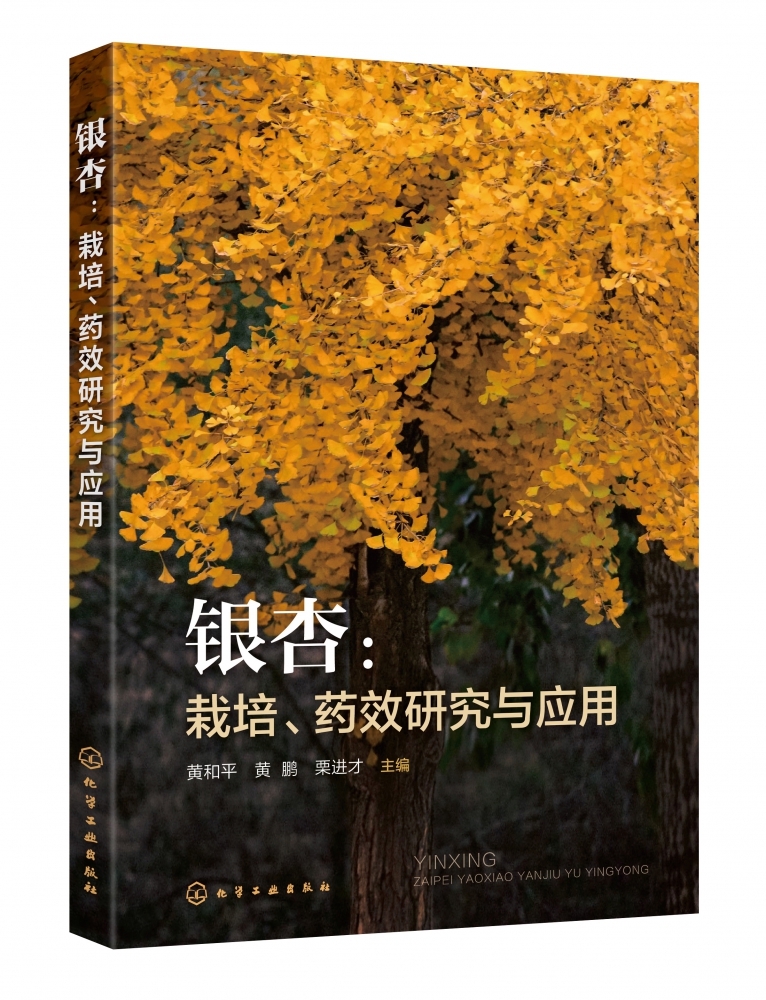 银杏:栽培,药效研究与应用