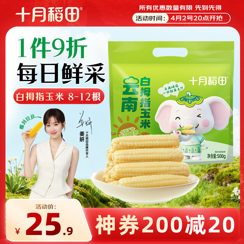 十月稻田 白拇指玉米 1斤(8~12根) 手指小玉米 真空 儿童早餐 西双版纳