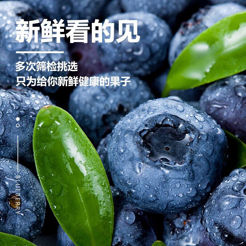 宗靖鲜云南花香蓝莓新鲜果【多地次日达】 孕妇应季国产水果礼品物盒 8盒装【单盒100-125g】 12mm+【尊选好果】