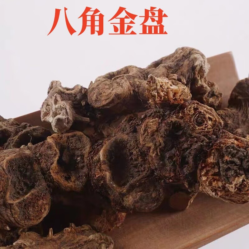 北京同仁堂原料品质  八角金盘中药材 八金盘 八手 手树 手树 金刚纂