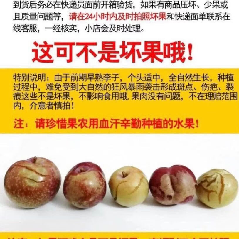 名绩正宗信宜钱排三华李新鲜当季水果现货孕妇酸甜脆包邮红心李子 净重特大果5斤