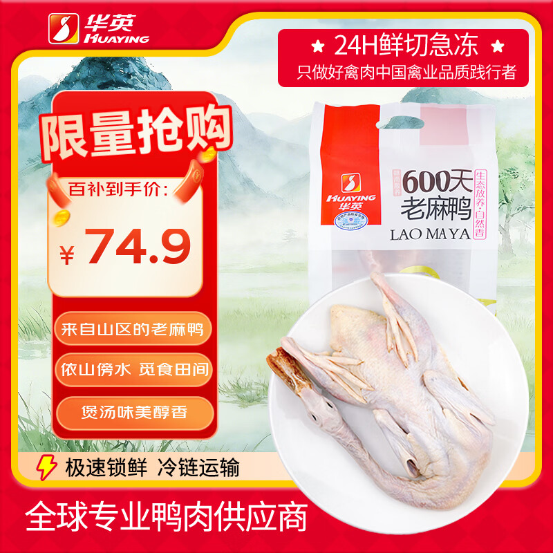 华英（HUAYING）赣南600天散养老麻鸭净重1.9斤冷冻鸭肉生鲜煲汤炖汤食材