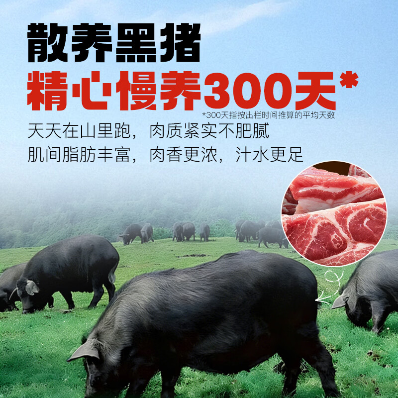 味都德黑猪肉风味爆汁烤肠0添加火山石纯肉肠烧烤儿童早餐空气炸锅速食 黑猪风味烤肠200g/盒(每盒5根) 【纯肉肠】原味*3盒
